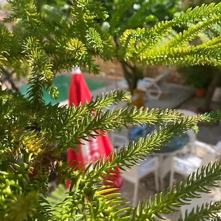 Kaleiçi Hotel Antália